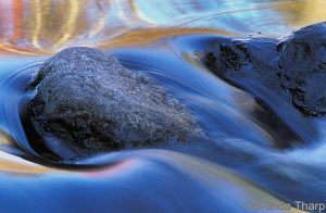 Momentum facilitates cultural change